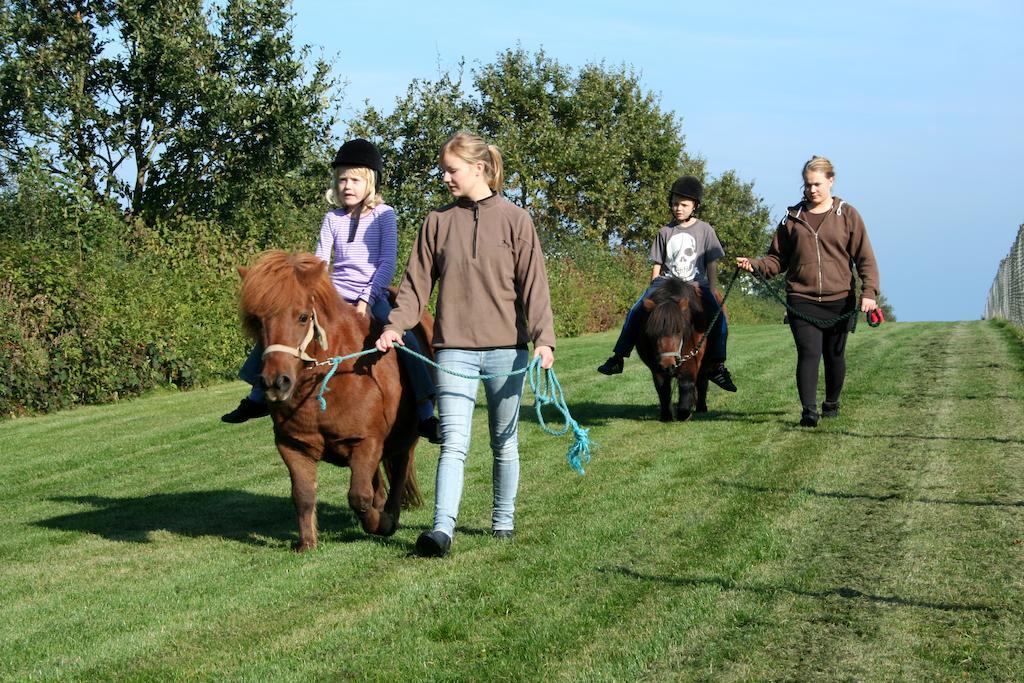 Camp Hverringe Dalby Exteriér fotografie